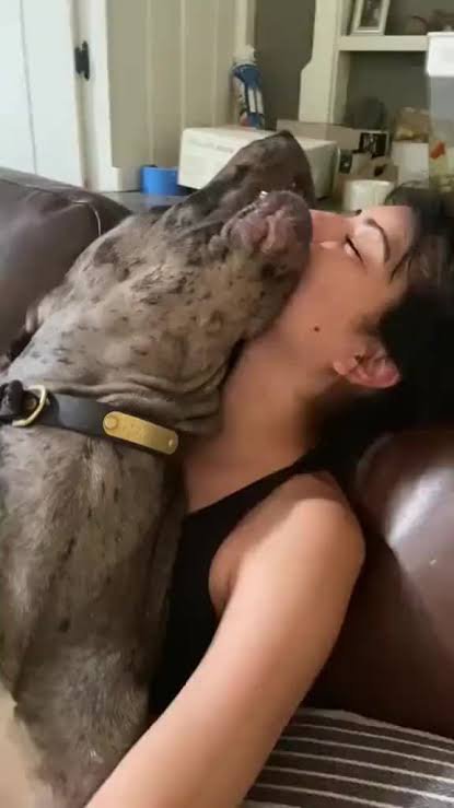 OUghost1's tweet photo. Public gets the tease.
Private gets the full knotting.
Link in bio
#dogs #USA https://t.co/9Nh4gLHsJQ