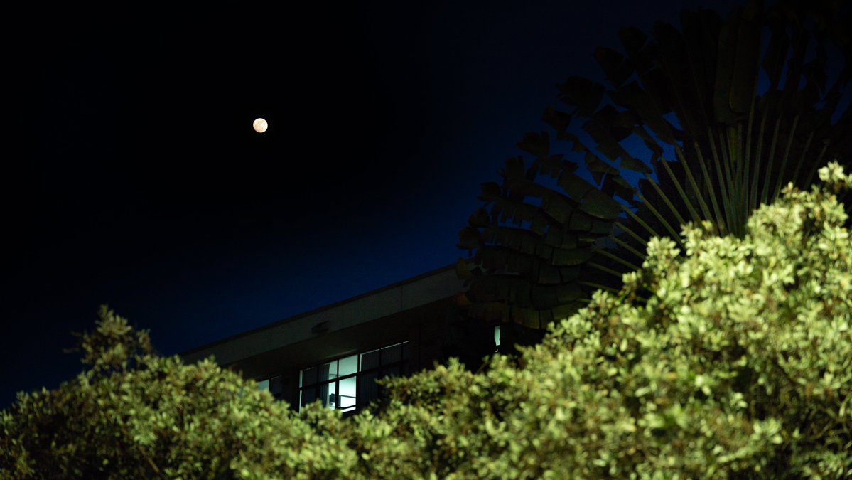 lauao's tweet photo. 🌙 ¿Qué rincón del Campus disfrutas especialmente cuando cae la noche? Cuéntanos en los comentarios. https://t.co/txNu2ySwDU