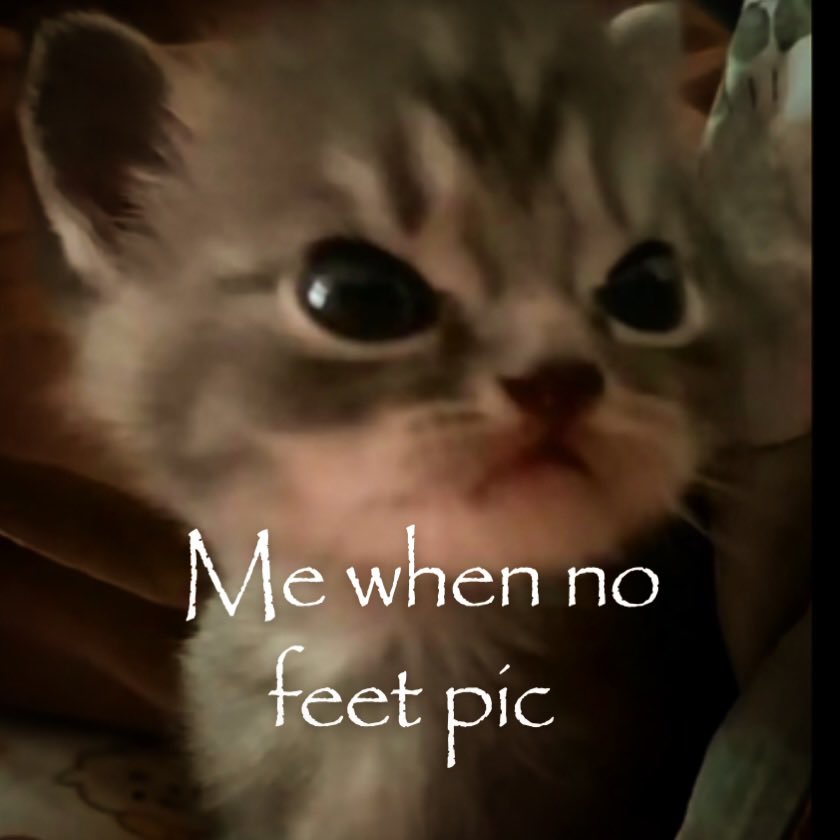 wontmiss_'s tweet photo. https://t.co/N29qPzIlpu