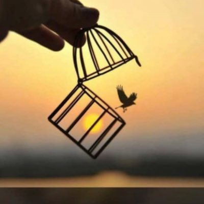 ForeinRiches's tweet photo. #NewProfilePic Avoid government they can steal your freedom https://t.co/NHzY6BVmSh