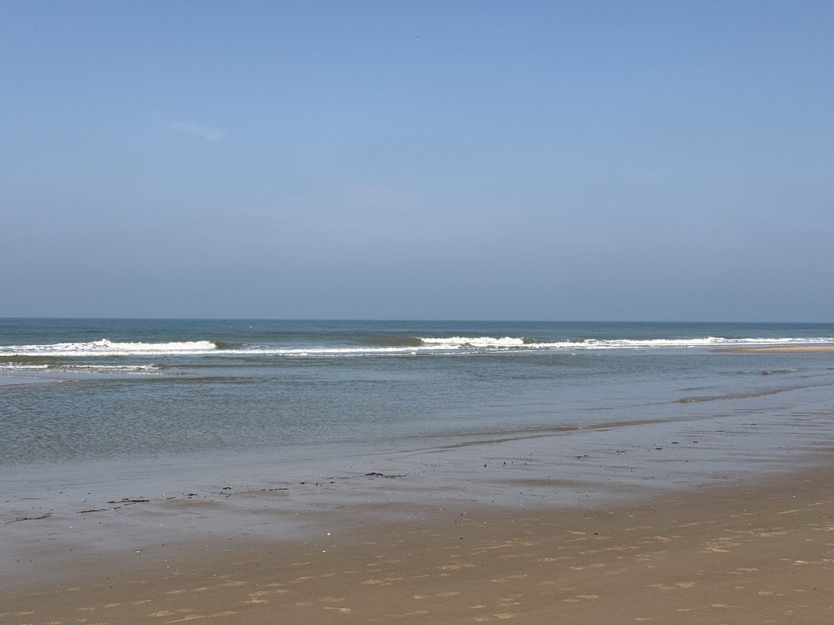 ci31pet's tweet photo. It’s a beautiful dayyyyyyy…..🎶☀️

Fijne avond ☀️🌊☀️🥰
#goedeavond #gojeaovend https://t.co/7raZ7JrzfI