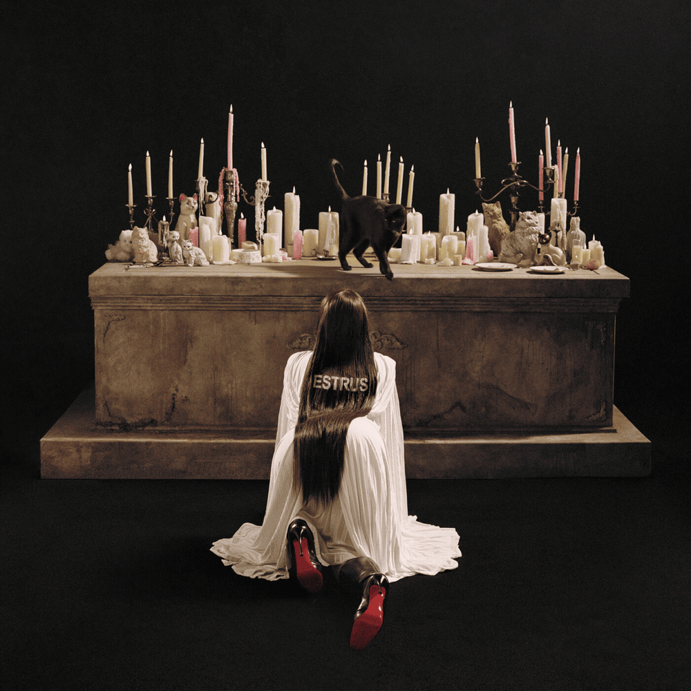 chartdata's tweet photo. Tove Lo's 'Estrus' debuts at #184 on this week's Billboard 200 (10K sold). https://t.co/ZFnDmVBlXu