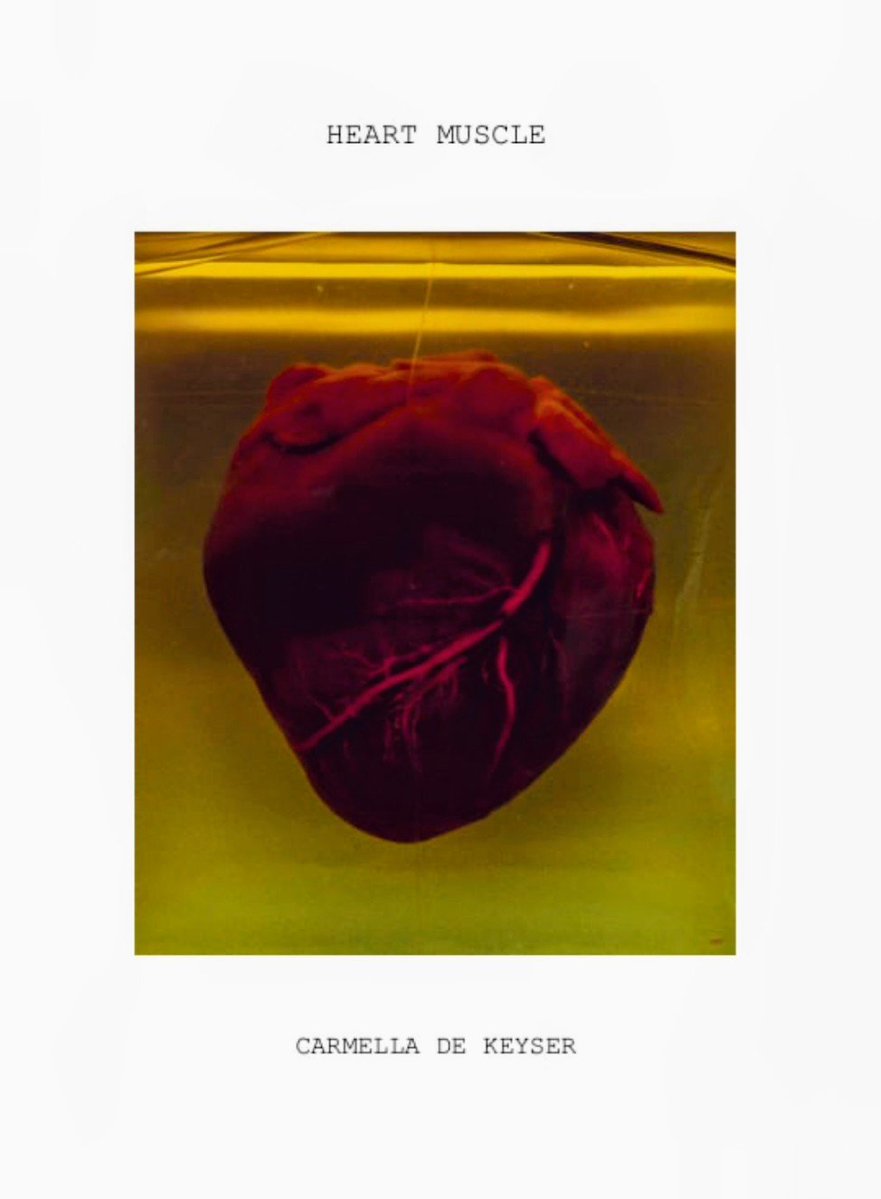 CarmellaPoetry's tweet photo. Sharing a poem I haven't ever shared before... 🫀
It is from my collection Heart Muscle which won the Hedgehog Press Crimson Spine competition for best pamphlet last October. 
It is called Intersectional Dining. 
#families
#contrasts
#blacksheep 
#power
#powerlessness https://t.co/VSla6cjqCg
