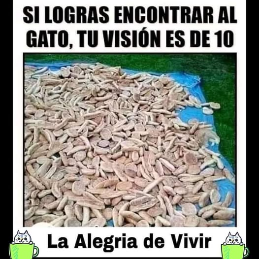 carlosbook11's tweet photo. https://t.co/VGmRdyhyEd