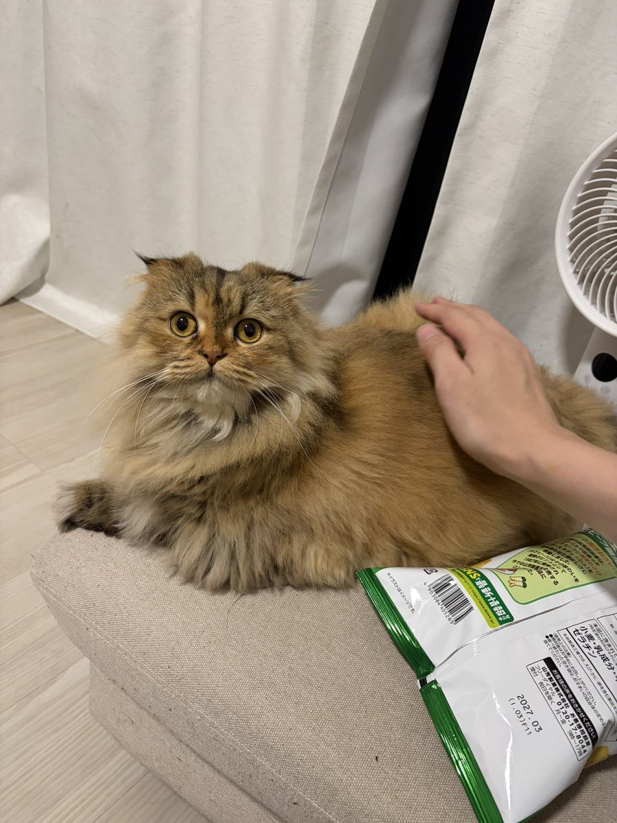 emo_take's tweet photo. 不審者を見る顔された https://t.co/nissO7QeWY