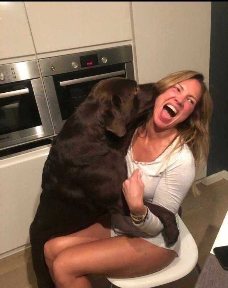 letsgocamz's tweet photo. New K9 video is ready.
Knotted and left full.
Only in private — Link in bio
#dogs #K9 #Private https://t.co/ArwyUSfO6w