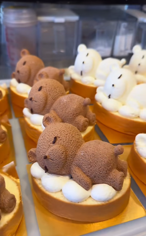 daily_dolce's tweet photo. Teddy bear mousse cakes 🤎 https://t.co/hJC3zD85Fm