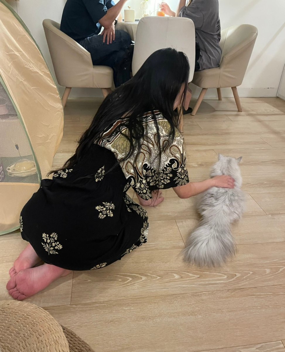 duguyingqi's tweet photo. 上次跟 @silently_0109 去貓咖🐈
捕捉到一隻大貓正在嚕小貓咪
大貓本人看起來甚至比小貓還開心🥹
櫻祈貓：原來這就是同類相吸嗎🐈‍⬛🤍
而且牠毛真的超級好摸……
嚕到完全不想走🙂‍↕️ https://t.co/XAIO5xQdAR