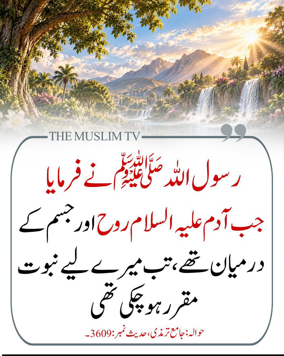 ChotiSheikhni's tweet photo. SubhanAllah https://t.co/Ac8DfoQrPy