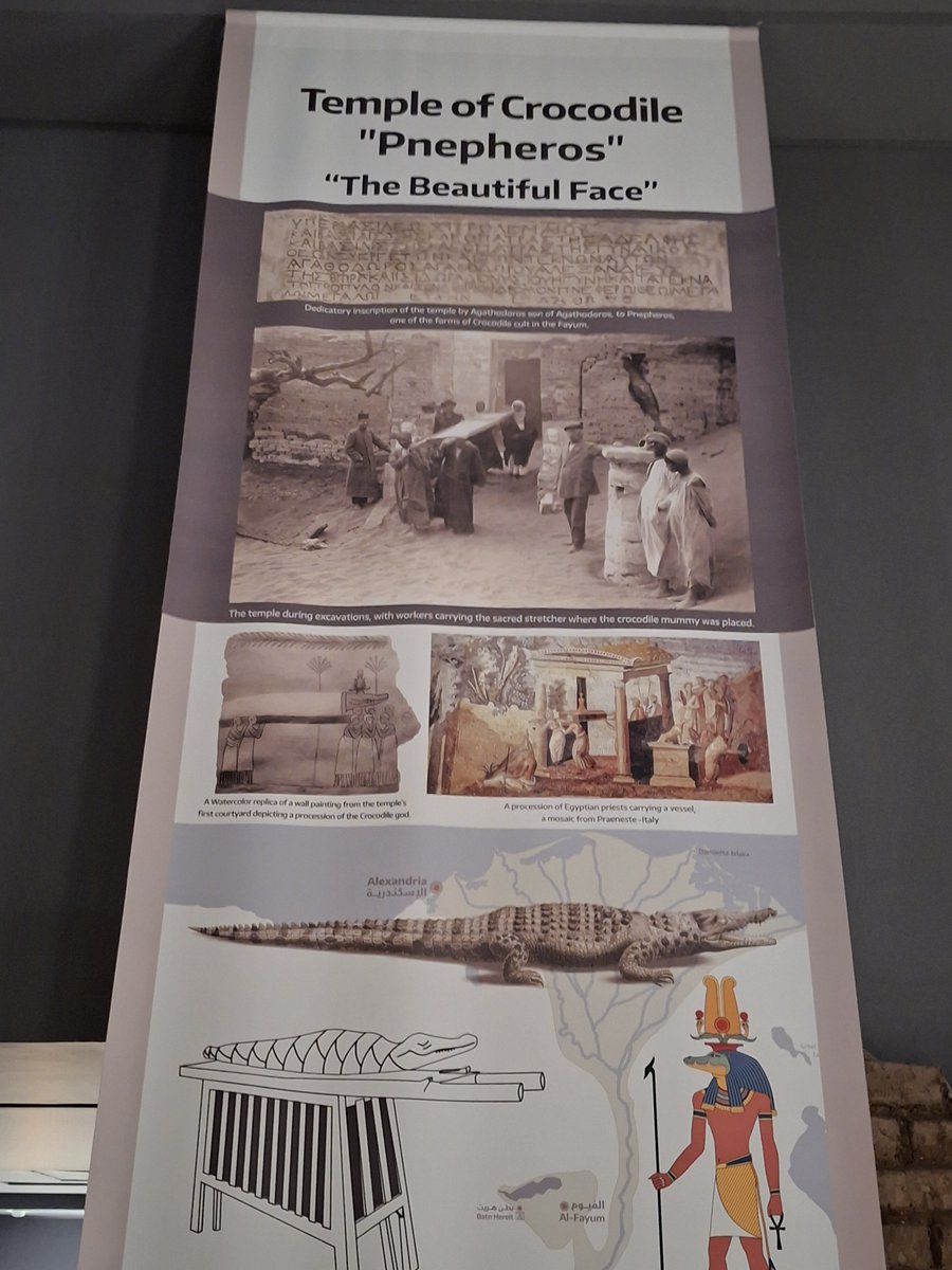 RebuiltWorlds's tweet photo. They named a crocodile god "Beautiful Face."
I photographed his mummy on the sacred litter in Alexandria's Graeco-Roman Museum.
The temple came from Theadelphia in the Fayum, built in the Ptolemaic period.
I translated the museum's Arabic panel into English so you can read it too.
Priests once carried this bier in festivals. Rebuilt alive with Grok Imagine. Sources below.