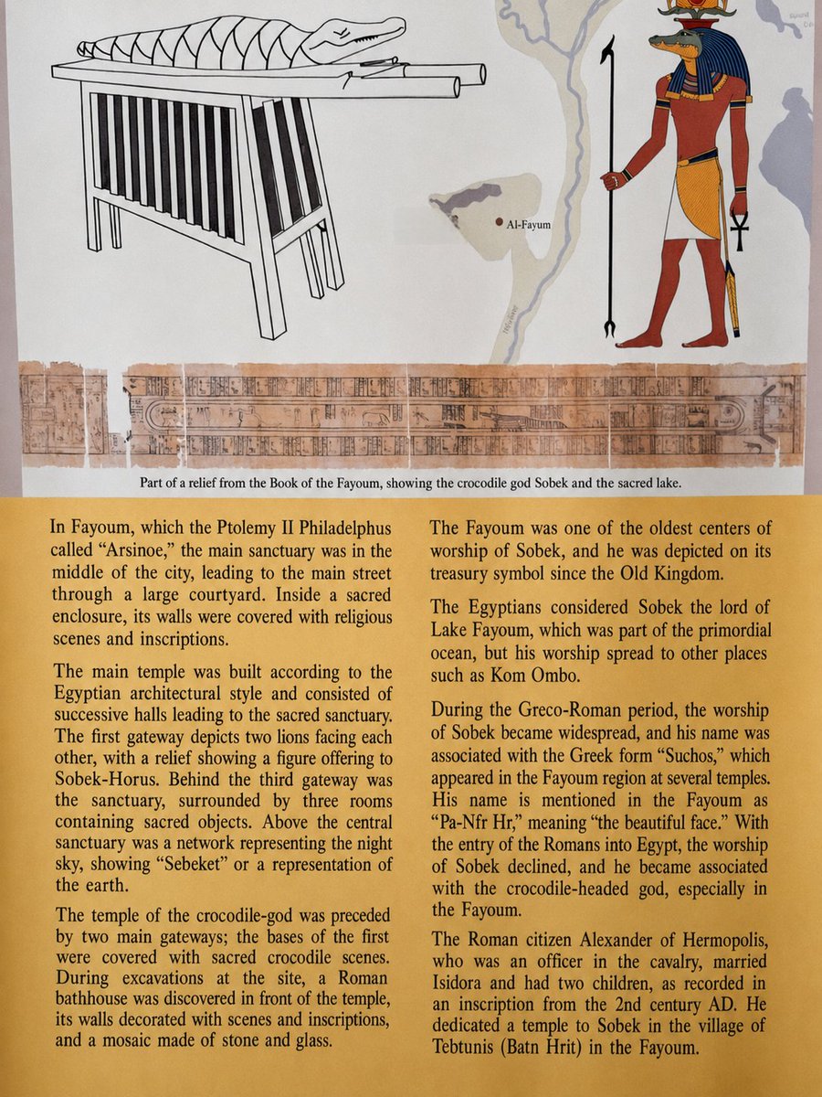 RebuiltWorlds's tweet photo. They named a crocodile god "Beautiful Face."
I photographed his mummy on the sacred litter in Alexandria's Graeco-Roman Museum.
The temple came from Theadelphia in the Fayum, built in the Ptolemaic period.
I translated the museum's Arabic panel into English so you can read it too.
Priests once carried this bier in festivals. Rebuilt alive with Grok Imagine. Sources below.