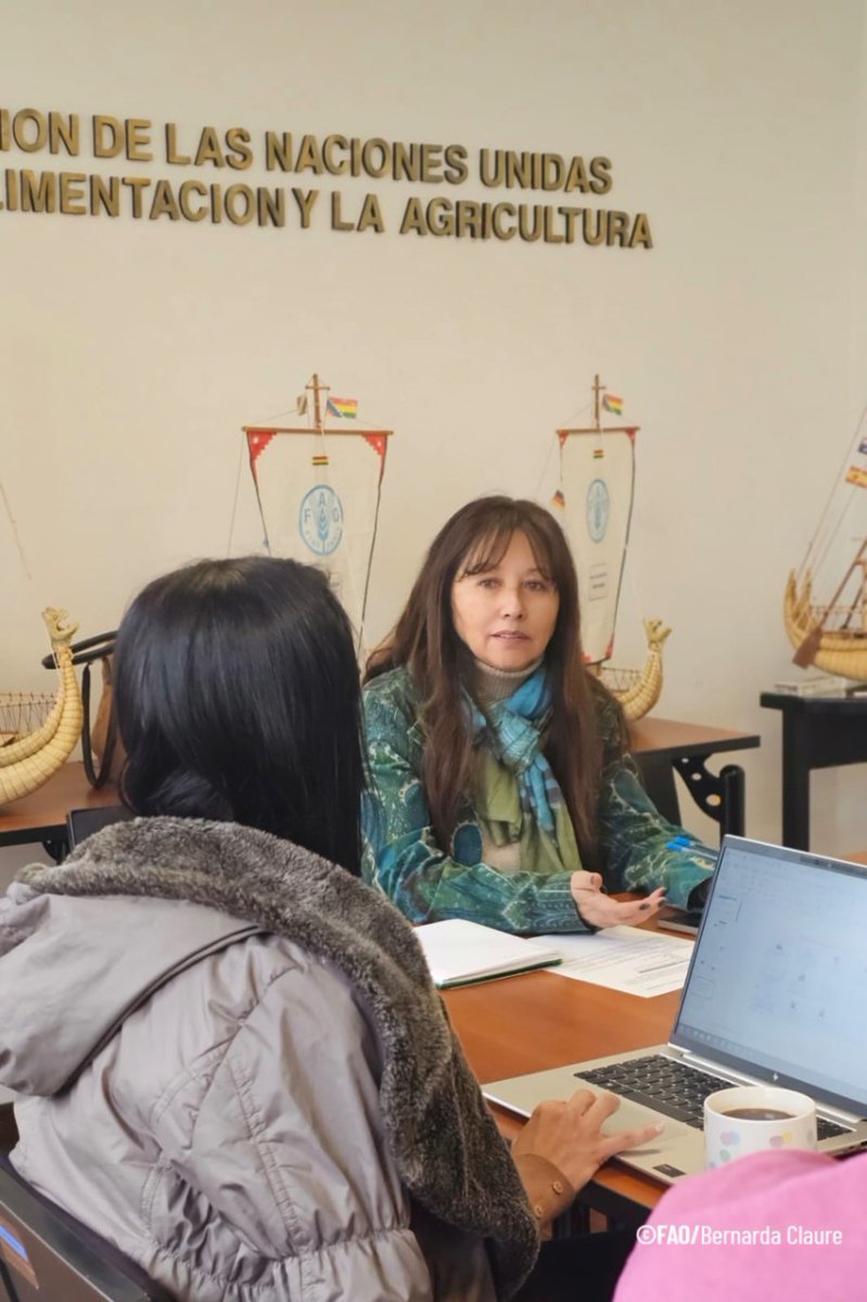 FAOBolivia's tweet photo. El equipo del proyecto RECEM Valles trabaja junto al Estado @AmbienteyAgua @DeAgropecuario @vrhr_bolivia @senaribolivia @INIAFBolivia @SENAMHI_BOLIVIA planificando acciones para el Programa Papa y así ampliar la movilización de recursos destinados a la adaptación climática🌱 https://t.co/x7voPm89bQ