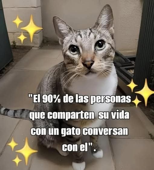 ManuSaenzVolvio's tweet photo. No sé si el 90%, pero yo si converso y ellos me entienden!
💛 https://t.co/2wLzyCsPnD