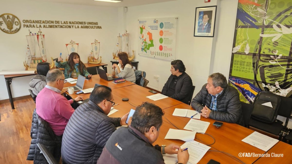 FAOBolivia's tweet photo. El equipo del proyecto RECEM Valles trabaja junto al Estado @AmbienteyAgua @DeAgropecuario @vrhr_bolivia @senaribolivia @INIAFBolivia @SENAMHI_BOLIVIA planificando acciones para el Programa Papa y así ampliar la movilización de recursos destinados a la adaptación climática🌱 https://t.co/x7voPm89bQ