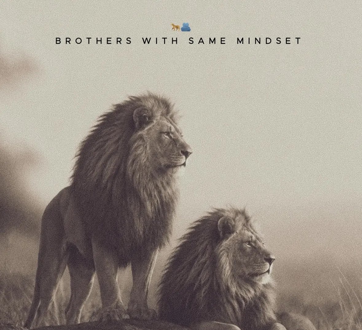 Kalpna79564334's tweet photo. Brother bond ♥️ https://t.co/JnJAE8YbZT