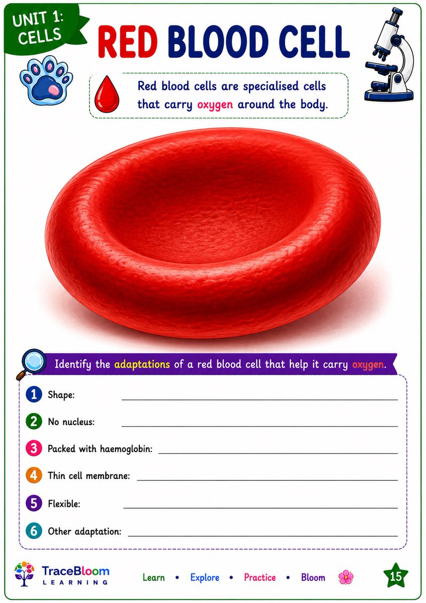 TracebloomL's tweet photo. Grade 7 Science: Cells

Explore plant cells, animal cells, specialised cells, tissues, organs and organ systems with this colourful 25-page workbook.

Cell structures
Specialised cells
Cells → tissues → organs
STEM challenge

Available on TES: https://t.co/hCCylDelZQ

#cells https://t.co/tBdCu8K6Iz
