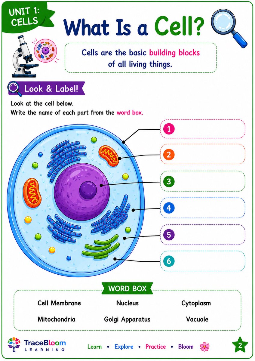 TracebloomL's tweet photo. Grade 7 Science: Cells

Explore plant cells, animal cells, specialised cells, tissues, organs and organ systems with this colourful 25-page workbook.

Cell structures
Specialised cells
Cells → tissues → organs
STEM challenge

Available on TES: https://t.co/hCCylDelZQ

#cells https://t.co/tBdCu8K6Iz