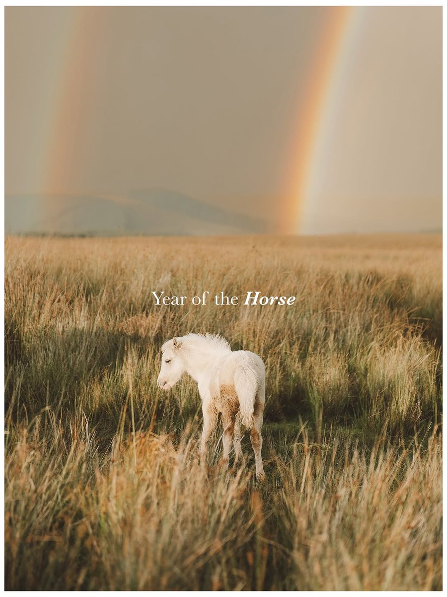 omarcastr's tweet photo. Year of the Horse.

Returning to them felt right.
Not because they were new, but because they had always been ongoing.

For a long time, they were a constant.
The light changed, the seasons changed, and no moment came twice.

They were never really w... https://t.co/967JGWPhBQ