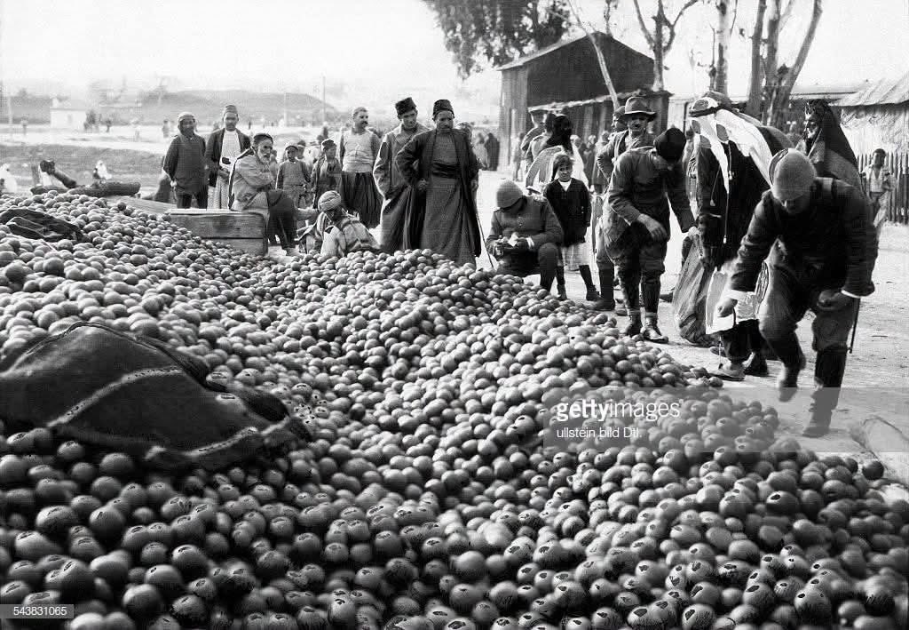 OliveZaytoun's tweet photo. سوق لبيع البرتقال في مدينة يافا، فلسطين 🇵🇸، نحو عام ١٩٢٤–١٩٢٥.

تُظهر الصورة كميات كبيرة من برتقال يافا الشهير، الذي كان يُعد من أبرز المنتجات الزراعية الفلسطينية ويُصدَّر إلى الخارج🍊 

📍يافا؛ فلسطين ما قبل النكبة. https://t.co/JxyOld0dm1