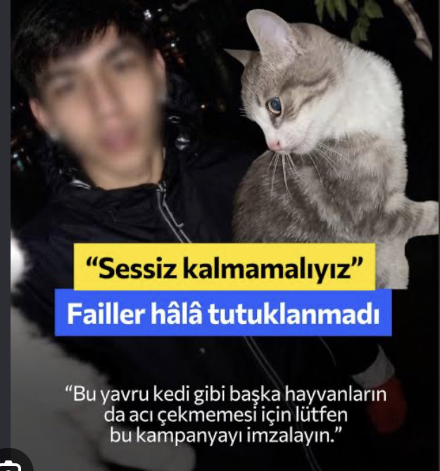 KedisiSoka89497's tweet photo. Unutmadık https://t.co/eck9z5cHFH