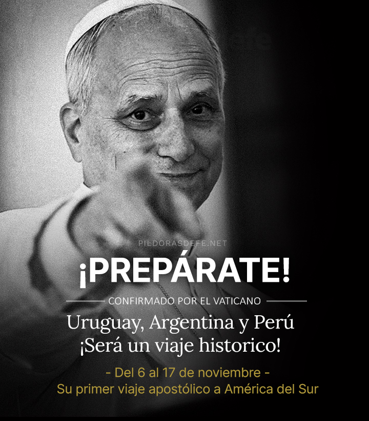 Pildorasdefe's tweet photo. ¡PREPÁRATE!
El Papa León XIV estará de visita en Latinoamérica por primera vez, del 6 al 17 de noviembre. Será un viaje histórico: Uruguay, Argentina y Perú.

Uruguay: Estará allí del 6 al 8. Será la primera visita de un Papa a Uruguay desde el viaje de san Juan Pablo II en 1988.

En Argentina, país donde estará del 8 al miércoles 11 de noviembre, el Presidente Javier Milei ya decretó feriado nacional el lunes 9 de noviembre para que todo el país pueda verlo.

La etapa más extensa del viaje del Papa será en Perú, del 11 al 17 de noviembre, y comprenderá Lima, Chiclayo, Cuzco y Pucallpa

Un recorrido de doce días por diez ciudades.

¿De qué ciudad nos estás leyendo? ¿Vas a ir a verlo?

😎