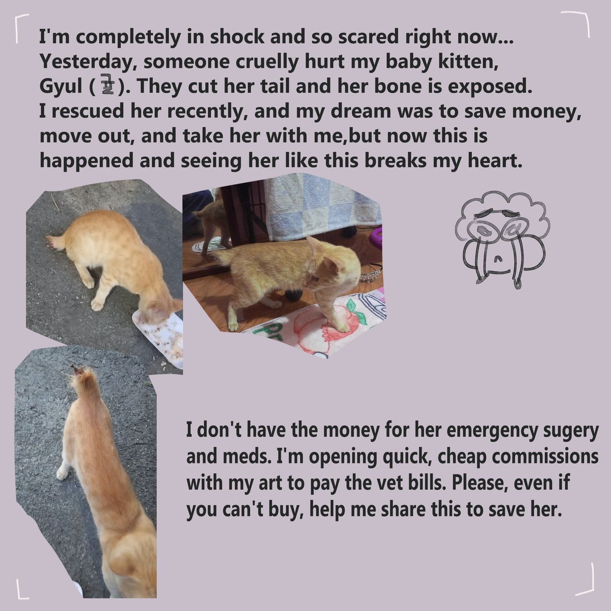 M_SungArt's tweet photo. EMERGENCY COMMISSIONS OPEN!

I’ve opened emergency commissions due to a medical crisis involving my cat; someone did something cruel to her and cut off her tail, leaving the bone exposed

Please do not feel obligated to commission me. Thank you
#digitalart
#comms
#commisionsopen https://t.co/yff3C0j5Fo