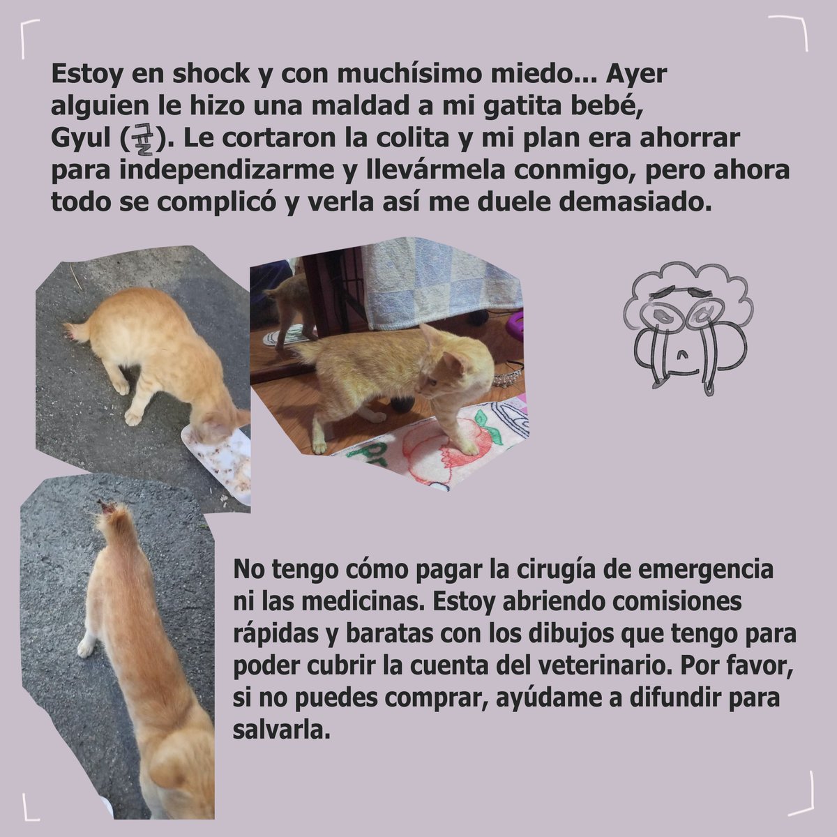 M_SungArt's tweet photo. EMERGENCY COMMISSIONS OPEN!

I’ve opened emergency commissions due to a medical crisis involving my cat; someone did something cruel to her and cut off her tail, leaving the bone exposed

Please do not feel obligated to commission me. Thank you
#digitalart
#comms
#commisionsopen https://t.co/yff3C0j5Fo