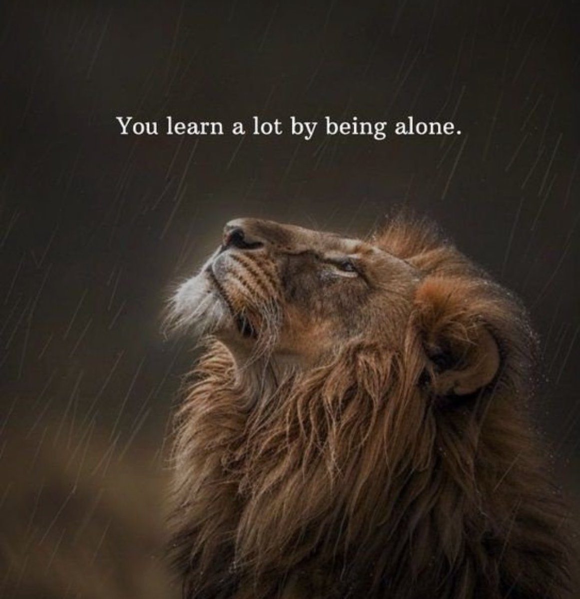 Kalpna79564334's tweet photo. Trust me https://t.co/qU5vxAWQlp