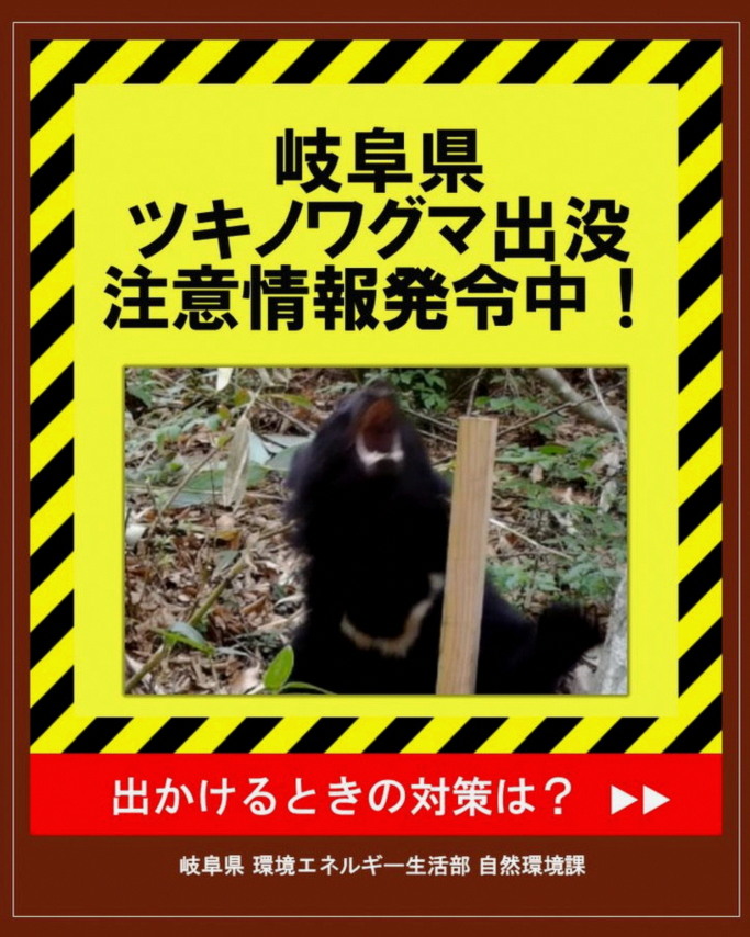 MartaCerveira's tweet photo. まじいつの間に結婚式挙げてたんだ、ウエディングドレスの写真くださいください一生のお願いです、そしてソシメンバーも出席してkissing you歌ったかも教えてください https://t.co/k9AZ4ik0VX