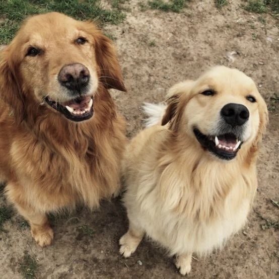 steviepuppie's tweet photo. caps https://t.co/S3W5kAyXar