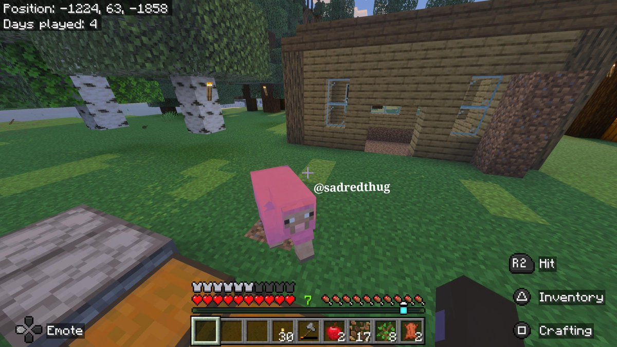 sadredthug's tweet photo. Found a rare pink sheep in Minecraft with me and my bestieee 💕💕
#minecraftㅤ #GamerLife https://t.co/7zXa5qBnEH