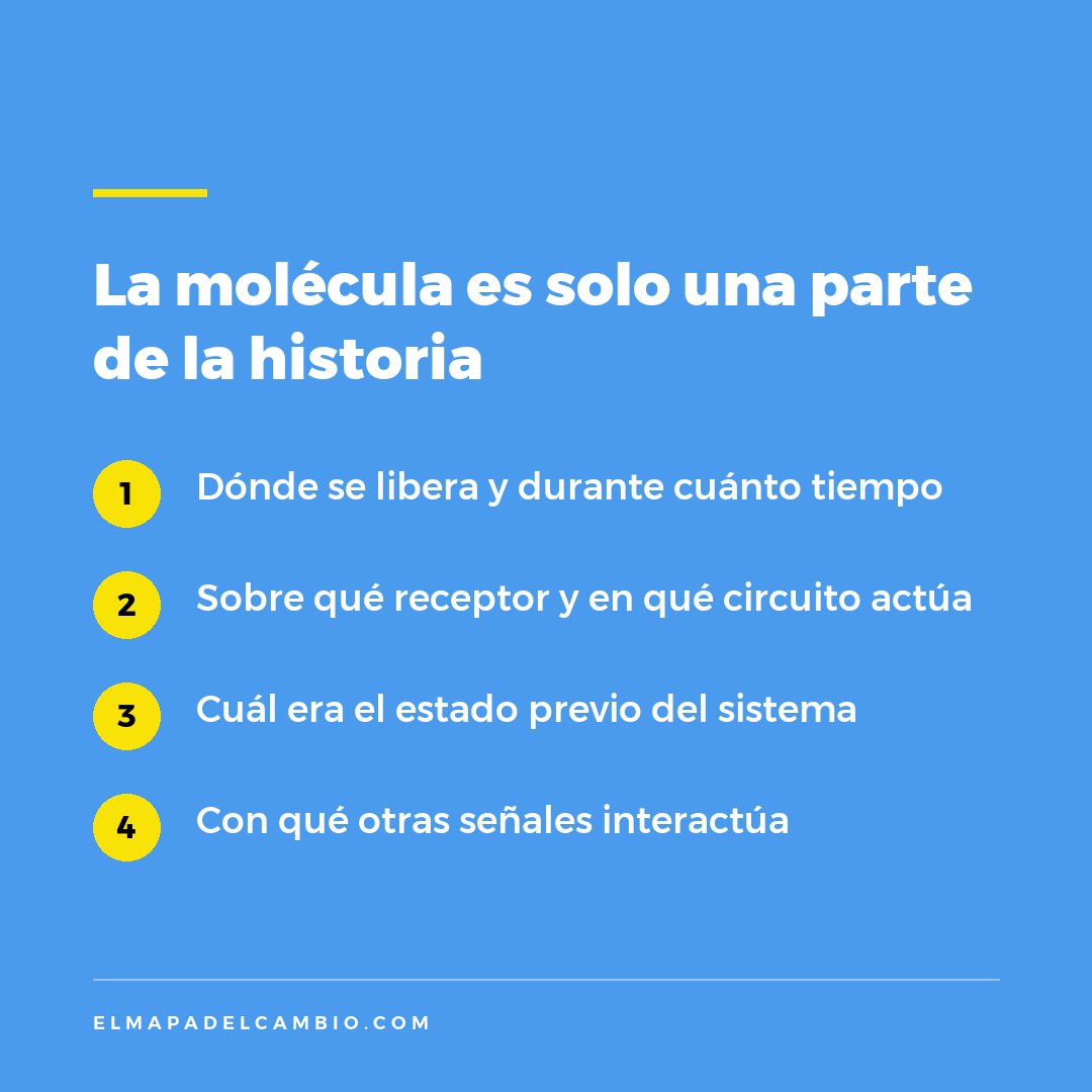 elmapadelcambio's tweet photo. Pero una molécula puede participar en procesos muy distintos según dónde se libere, sobre qué receptor actúe, en qué circuito, durante cuánto tiempo y en qué estado se encuentre el sistema. https://t.co/TVteAQG1Pd