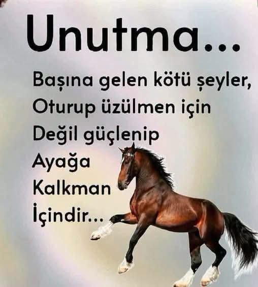 MUZAFFERPOLAT34's tweet photo. https://t.co/GsXCpXSUjs