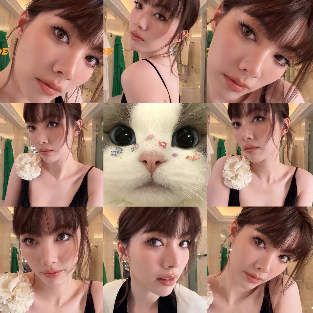 cceechom's tweet photo. say hi to my lil kitty cat (😽)🐾

LINGORM BA DIOR AT PFW #DiorSummer27xLingOrm 
#OrmKornnaphat https://t.co/JFxUJlf8JW
