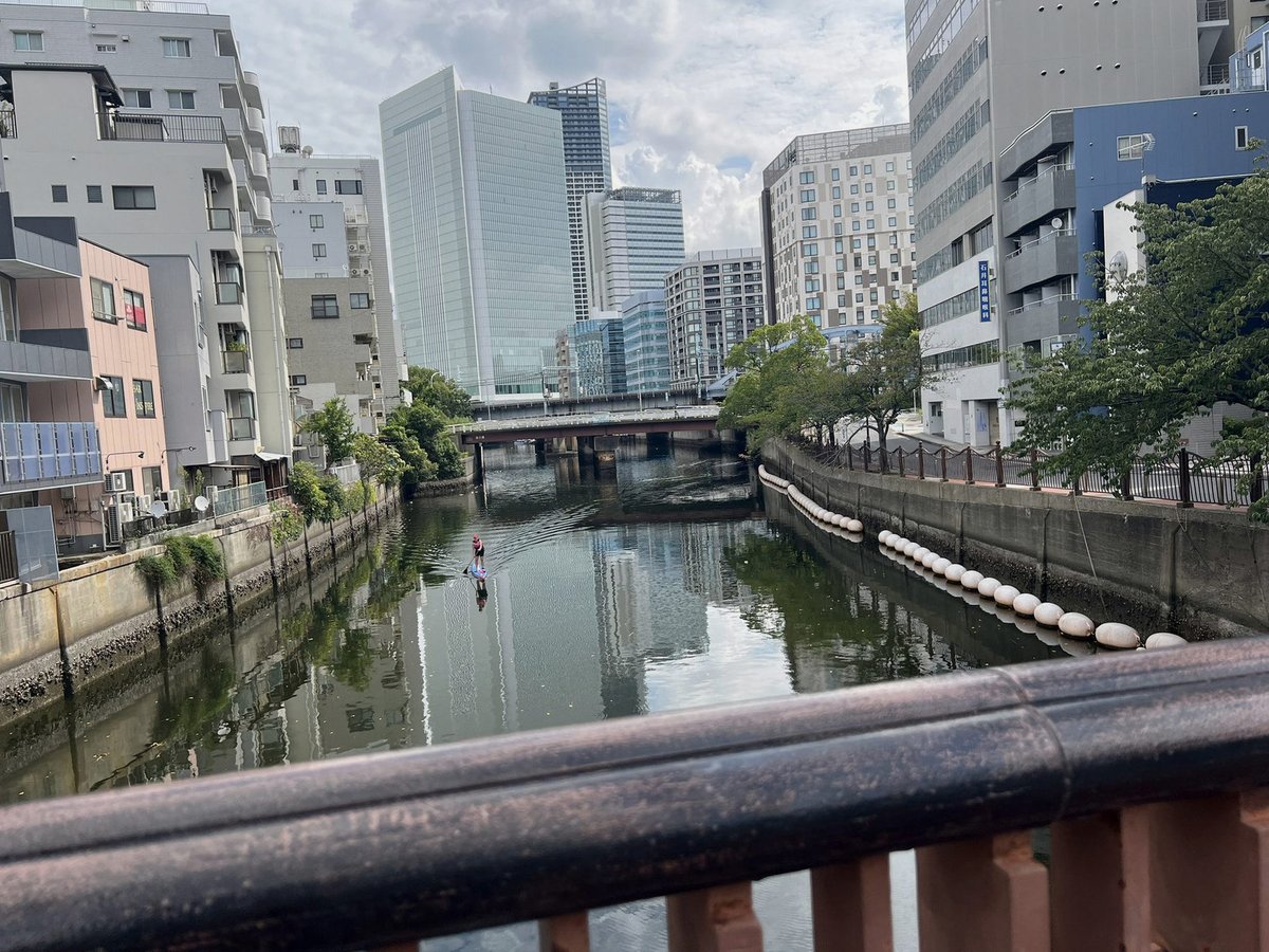 CheAriel21's tweet photo. 昨日と今日、ティノポンの予防接種と健康診断で通院しました。ポンさんは非常に健康ですが、ティノさんの副腎に僅かながら肥大が認められたため、本日より治療を始めることになりました。
丸一日検査されて注射まで打たれたけどお利口にしていて偉かったね https://t.co/Pd3u07JRjo