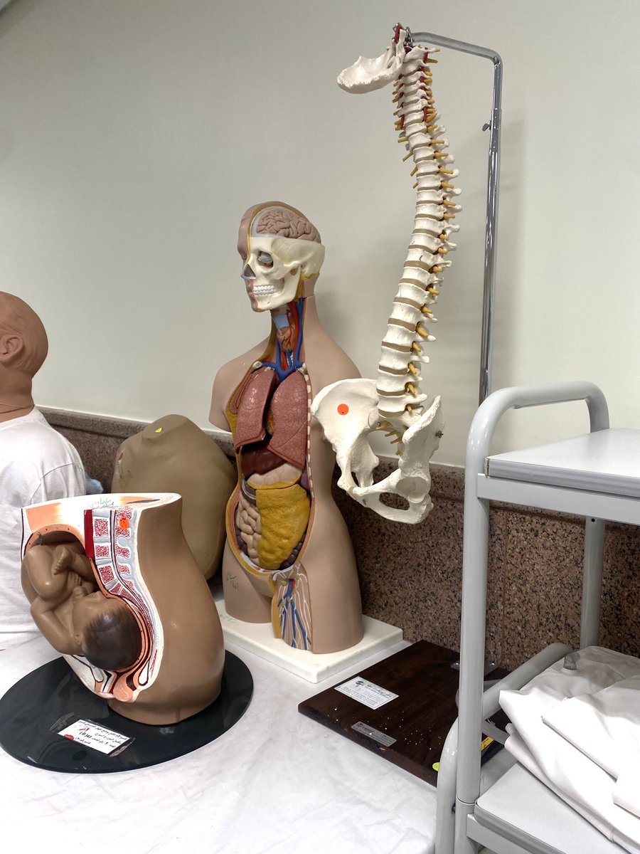 worllv's tweet photo. September randoms 📸🌴
و اول يوم وطني بالجامعة الله يديم الأمن والأمان ويعز النيرسز بكل مكااان ☝🏼
#UQUNURSE48 #UQU https://t.co/Tkk0pp8uos
