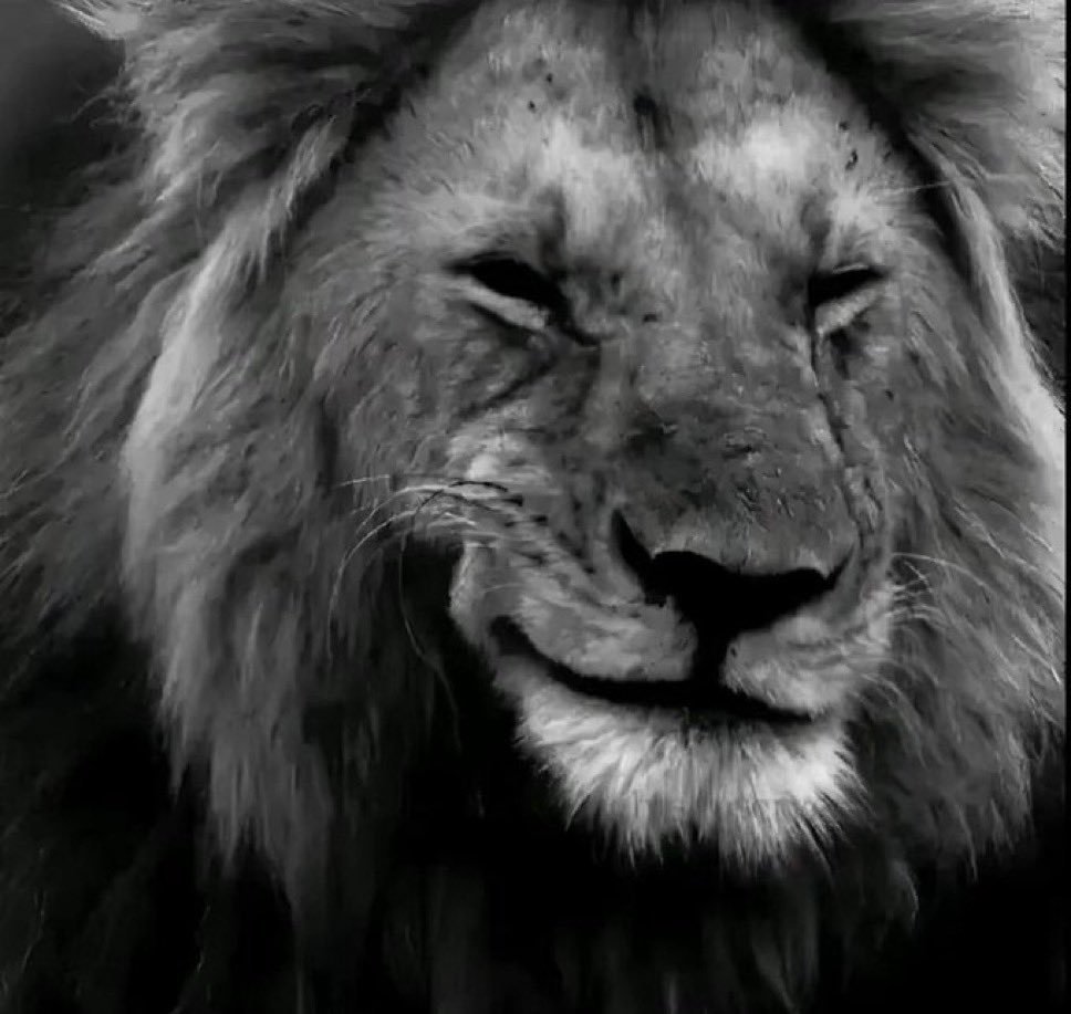Tarlo04's tweet photo. ومع ذلك رجعت نيزوكو وما اتذكر اني شفتهم قالوا يخرب بيت الخياس ووش فايدة كل ذي الدراما و و و و

بس مع عمل معين صار فيه نفس هذا الأمر في 29 اغسطس كانوا يسفلون فيه ويقولون رخص ووش فايدة الحلقة الماضية والخ... https://t.co/U3wCD8ORFx