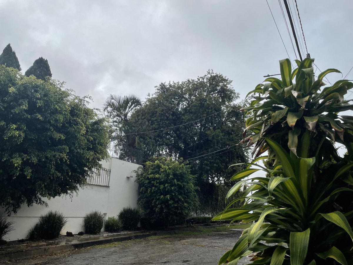 mbucci_'s tweet photo. Hoy amaneció nublado y sin poder correr porque estuvo fuerte la lluvia . Llegó el huracán Polo a México. https://t.co/PcC3d2nI0c