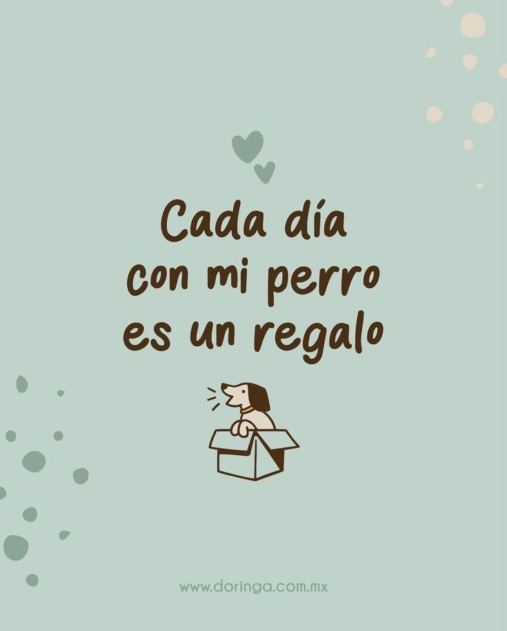 rey_latino33087's tweet photo. https://t.co/Ov7SVUtS4D