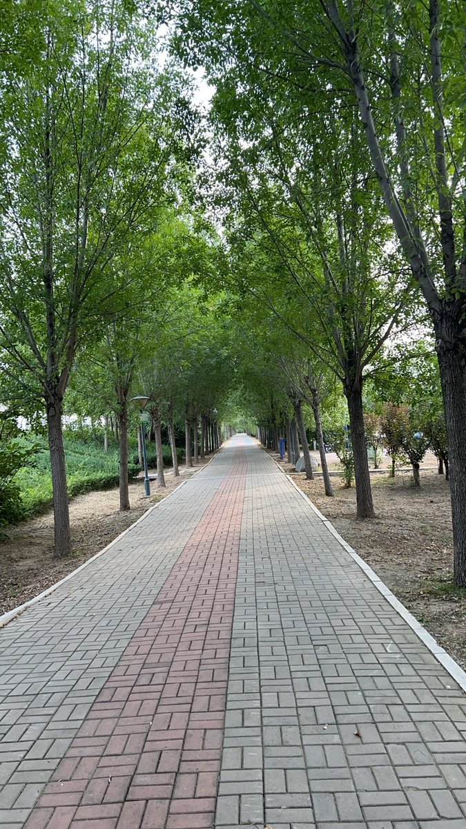 PeterSpearwamf's tweet photo. Hoy el sol brilla y hace un calor agradable, perfecto para un paseo al parque. https://t.co/aH4ssbplCA