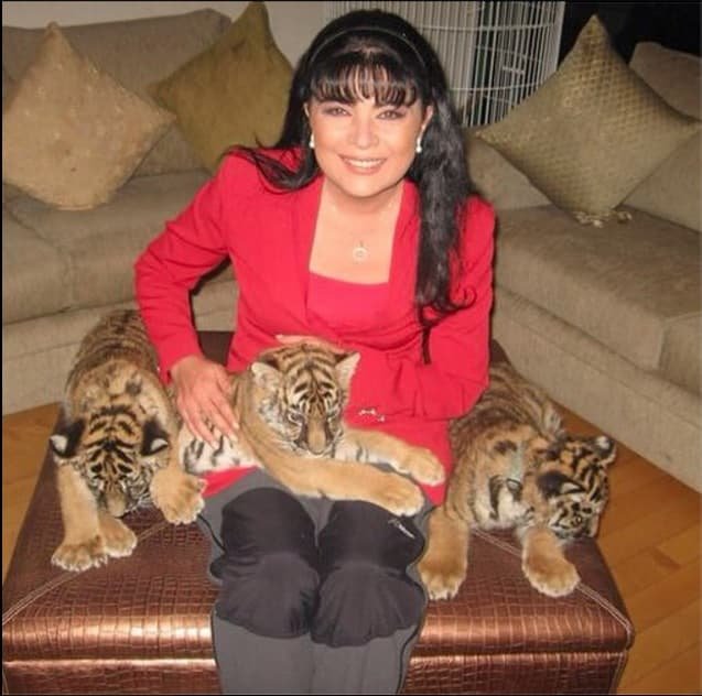 KatyPinto43223's tweet photo. Entre leones y tigres… quizá el destino ya daba algunas pistas. 🦁🐯✨
Fuerza, elegancia y una conexión especial con los felinos.
Años después, toda una Leona. 👑❤️
#VictoriaRuffo #LasLeonas #LaQueen https://t.co/d9wqZQHkVw
