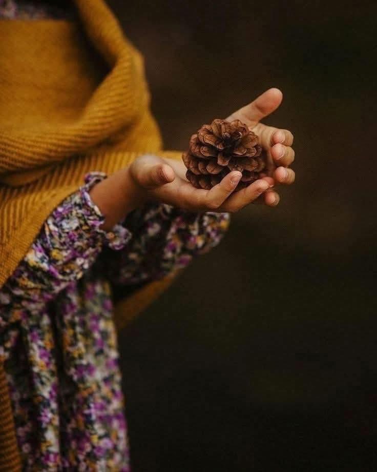 1nefesanadolu's tweet photo. Tıpkı “Dِört Mevsim” gibidir insan.
Gülerken  yaza
Sevinirken İlkbahara
Soğurken  Kışa
Hayalleri yıkılırken… “Sonbahara” benzer…

Cahit Zarifoğlu https://t.co/7KLY5x5qaE