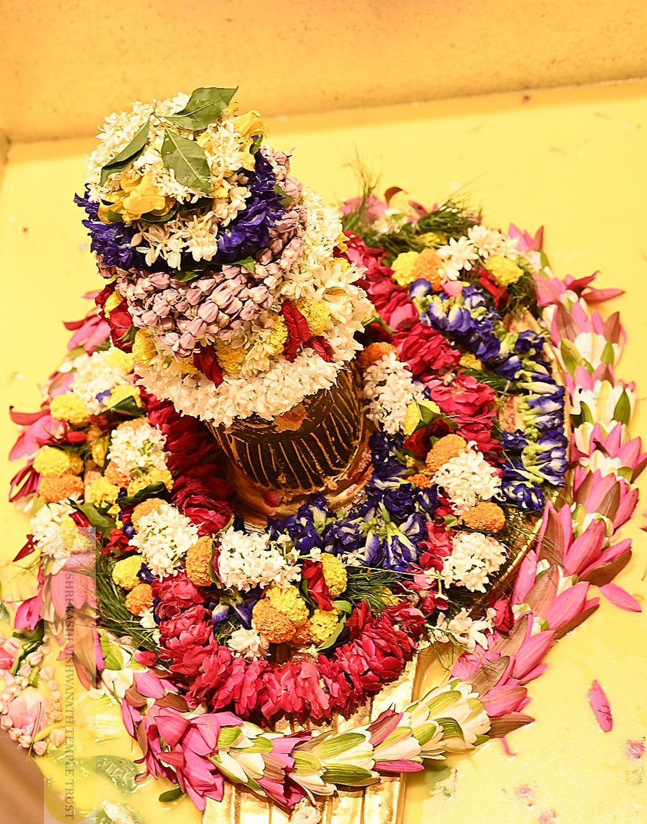 ShriVishwanath's tweet photo. श्री काशी विश्वनाथ जी की सप्तऋषि आरती I https://t.co/JQMKGINMNE