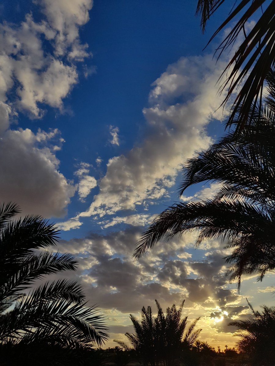AlEmbarka's tweet photo. سَحَاب ☁️💙 https://t.co/Ubp35TjSLJ