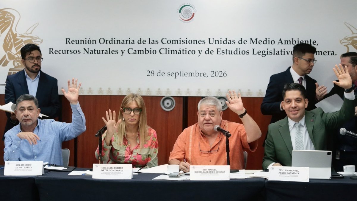 OCPA_Puebla's tweet photo. ⚖️🐾 Observatorios fijan postura sobre la Ley General de Bienestar Animal

📌 Reconocen avances, pero señalan pendientes en control poblacional, presupuesto y armonización local.

Observatorios de Jalisco, Puebla y Tlaxcala publican posicionamiento técnico conjunto.  

1/6 https://t.co/kDKPARFLNI