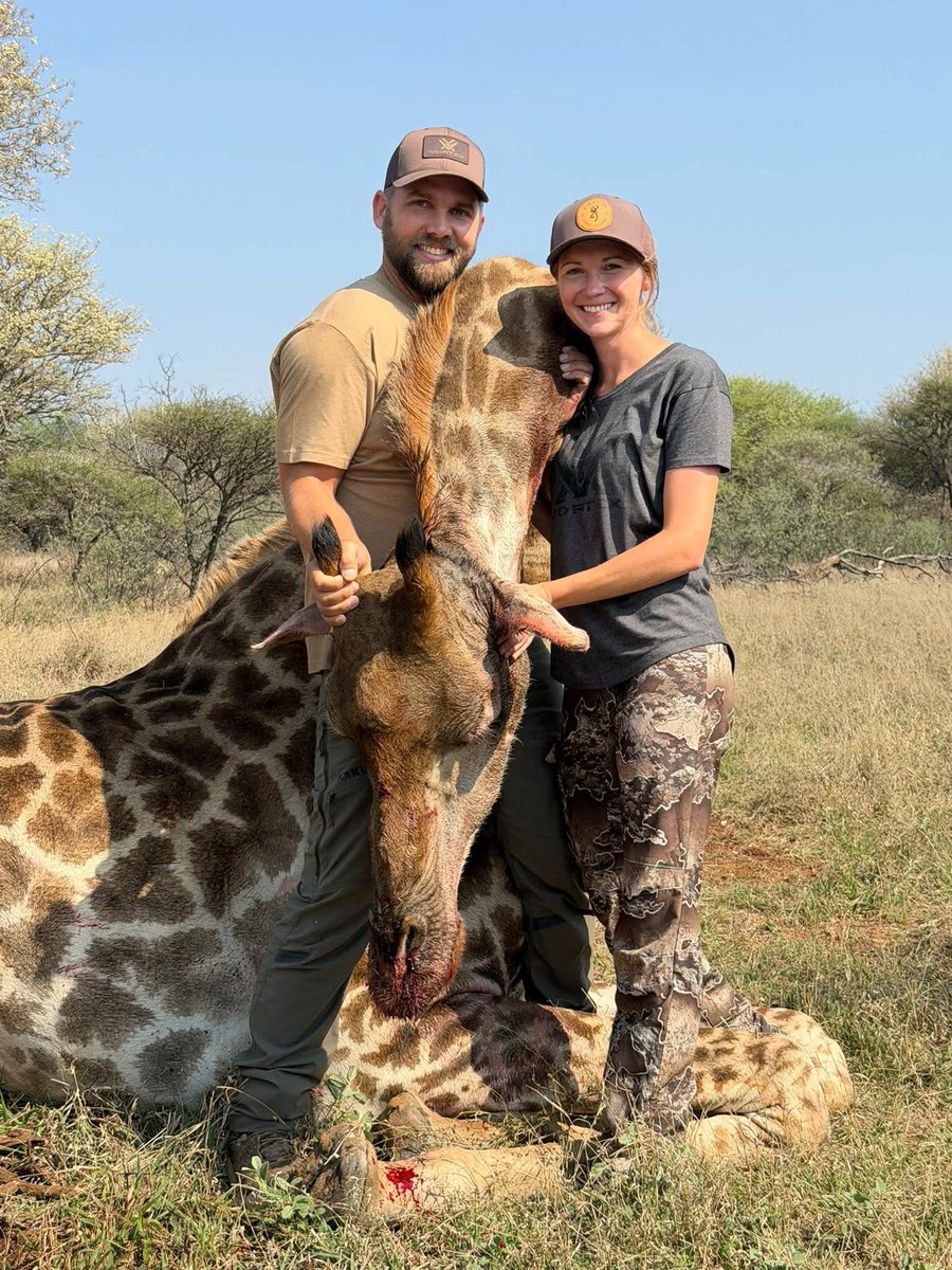 XposeTrophyHunt's tweet photo. Tyler Brozek &amp; Katelyn Breunig, all smiles after they killed this giraffe in South Africa. A hunt Brozek will never forget. Both scumbags. 🤬
#BanTrophyHunting RT
@SARA2001NOOR @Angelux1111 @Gail7175 @Lin11W @Protect_Wldlife @PhaedraXTeddy https://t.co/0btKFliR3E