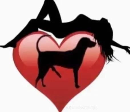 Annak9girl's tweet photo. The timeline stops here. The real session continues in private 
#bestiality #zoolovers #doglovers #dogsex #USA #germany #incestvideos #k9lovers https://t.co/WFP1UIaKYk