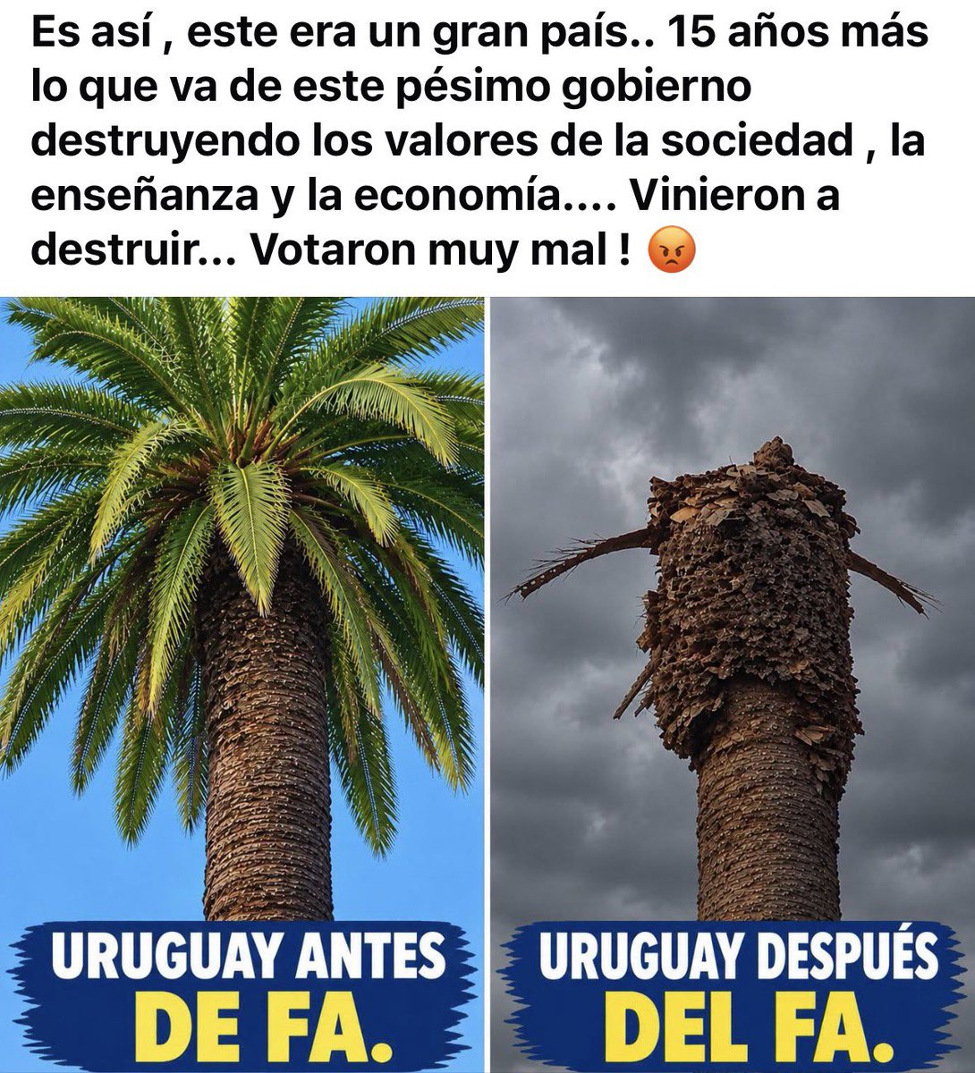 DosGladiador's tweet photo. https://t.co/Ohc9exWzQZ