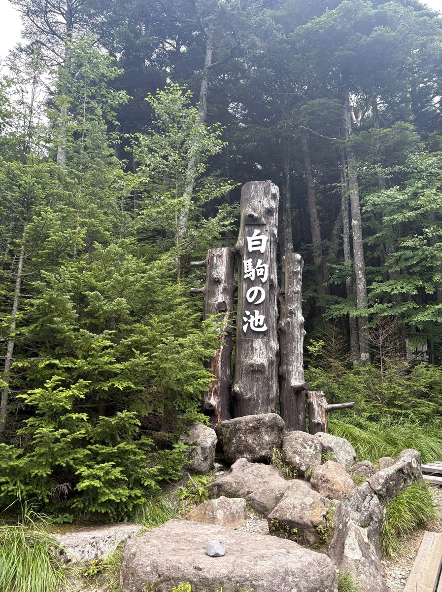 lmjectdr's tweet photo. やっぱ作画良いとずっと見てられるわ！かつて作画が天と地で違う作品をいくつか通りましたけど神作画は何度もリプレイしましたので…
あーグッズ系ではなくブック系のオタクにもやさしくしておくれ～～
はぁ…旦那かっこいい。声も顔も良い。ワカサにお似合いすぎ…（トキメキの呼吸） https://t.co/ycymnxEKOa