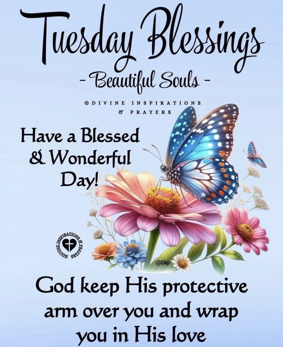 WVHPMinistries's tweet photo. Tuesday Blessings #WVHP #TuesdayChooseday #TuesdayMotivations #TuesdayBlessings #TuesdayBlessing https://t.co/yWtyvWdsLi